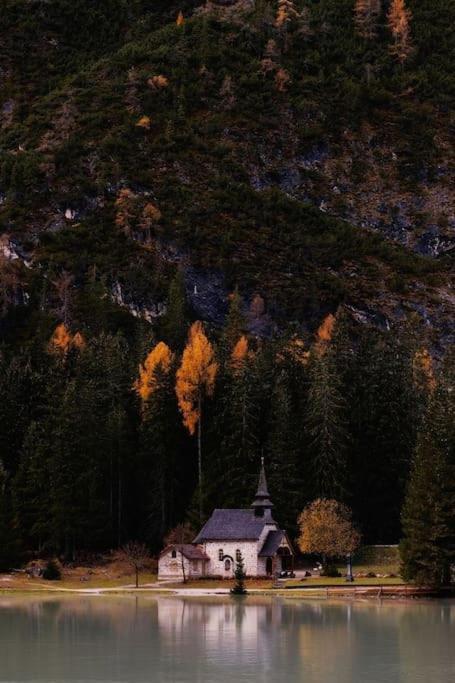 Alloggio Con Idromassaggio E Super Vista Nave San Felice Екстериор снимка