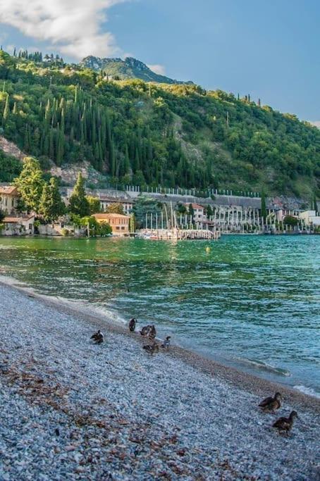 Alloggio Con Idromassaggio E Super Vista Nave San Felice Екстериор снимка